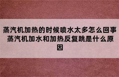 蒸汽机加热的时候喷水太多怎么回事 蒸汽机加水和加热反复跳是什么原因